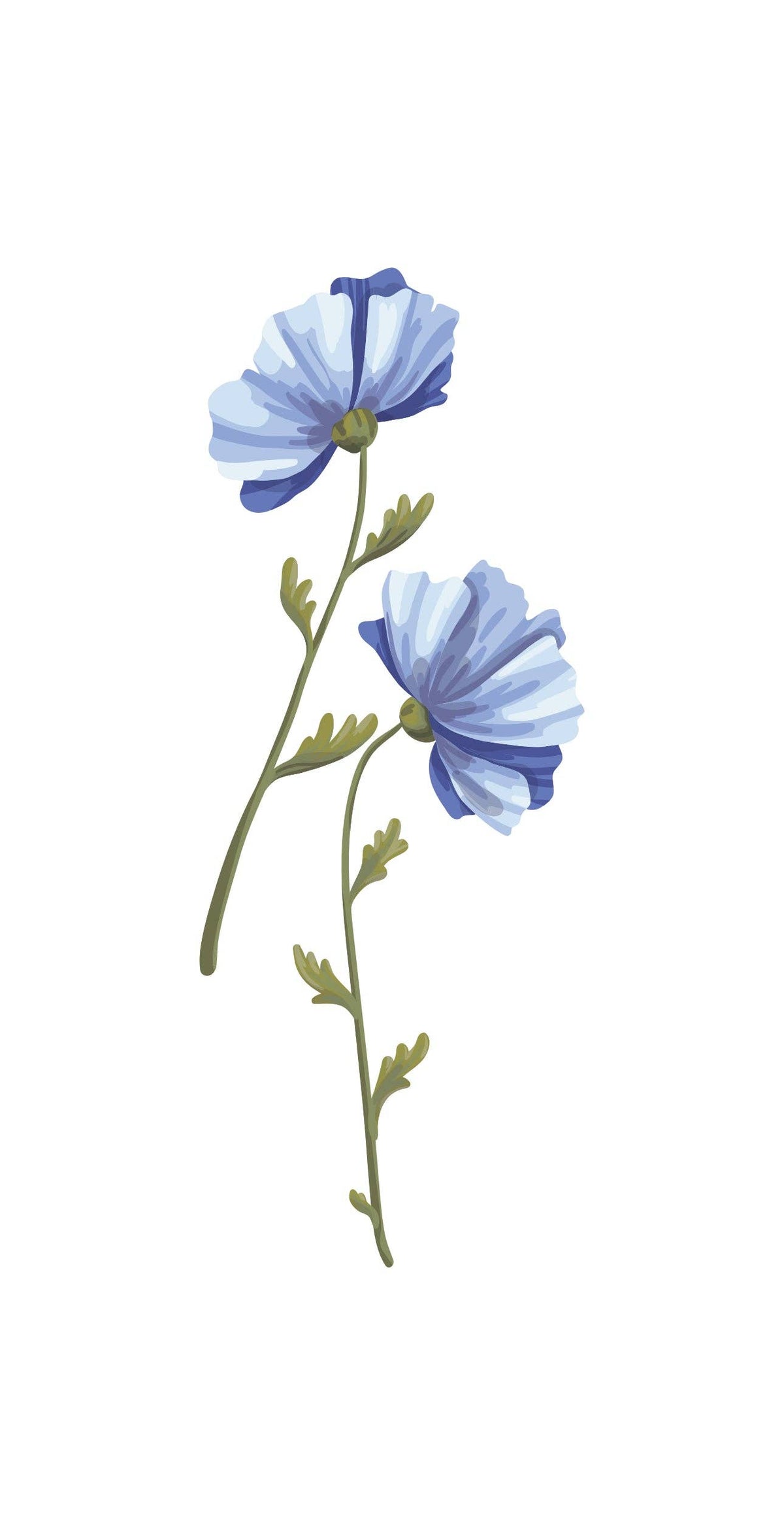 Blue Daffodil Guest Towel (16ct)