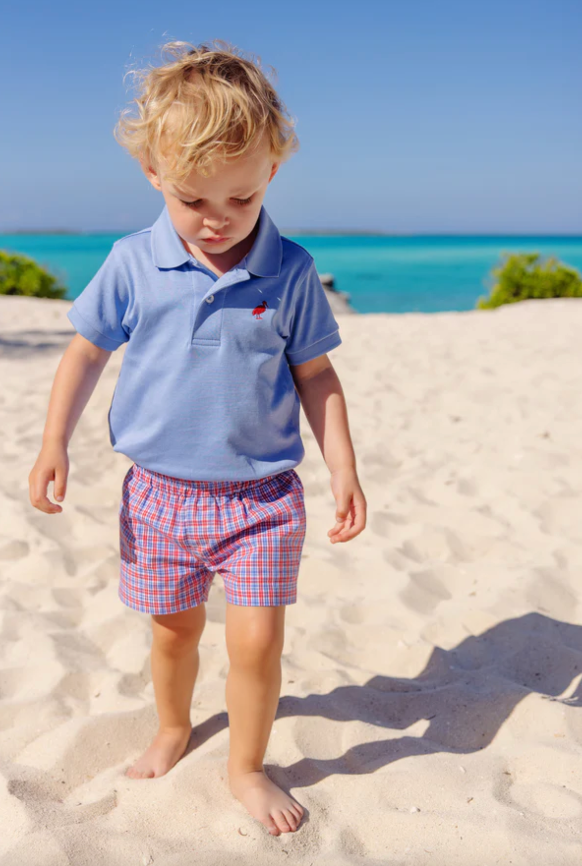 TBBC Sheffield Shorts Lawn Party Plaid / White Stork