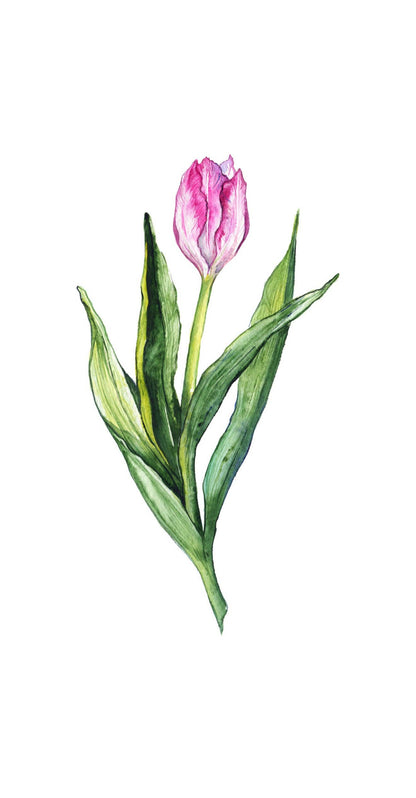 Tulips Printed Guest Towel (16ct)