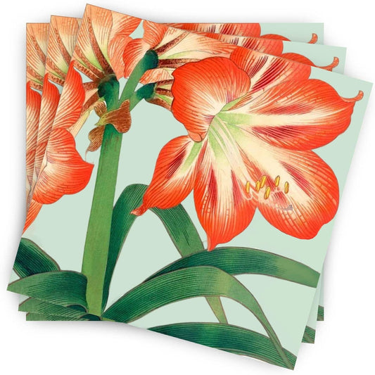 Amaryllis Cocktail Paper Napkins (25ct)