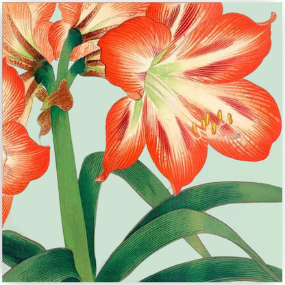 Amaryllis Cocktail Paper Napkins (25ct)