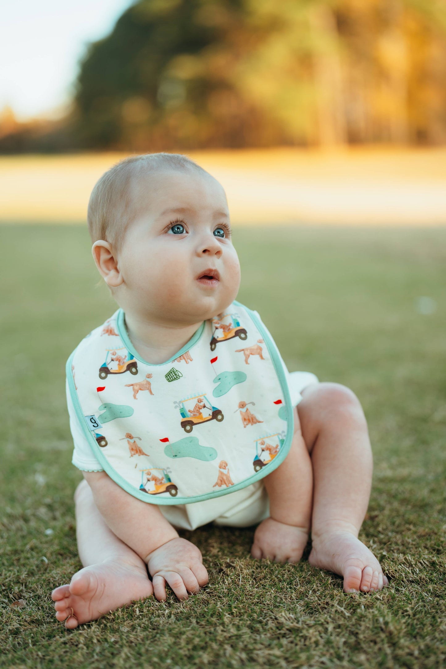 Bib Set - Barks & Birdies (Golf Dogs)