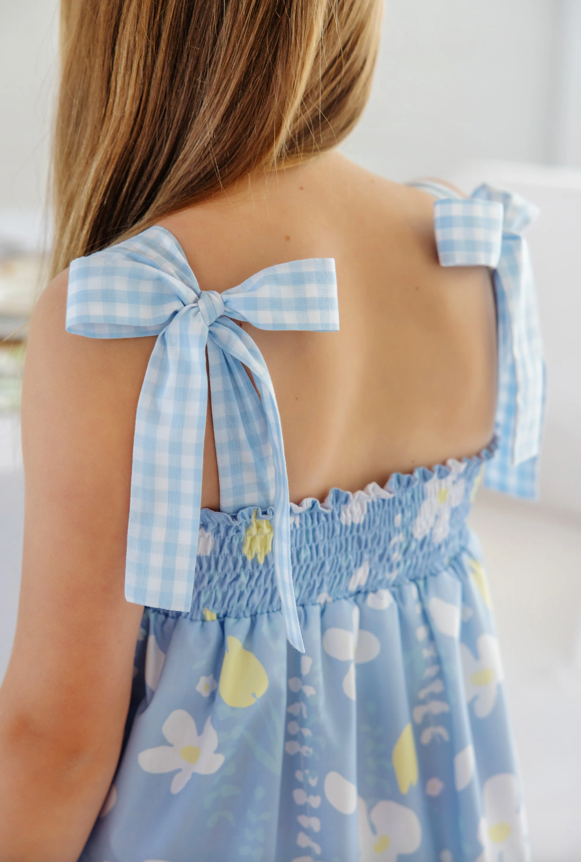 TBBC Macie Midi Dress Water Street Wisteria with BHB Gingham