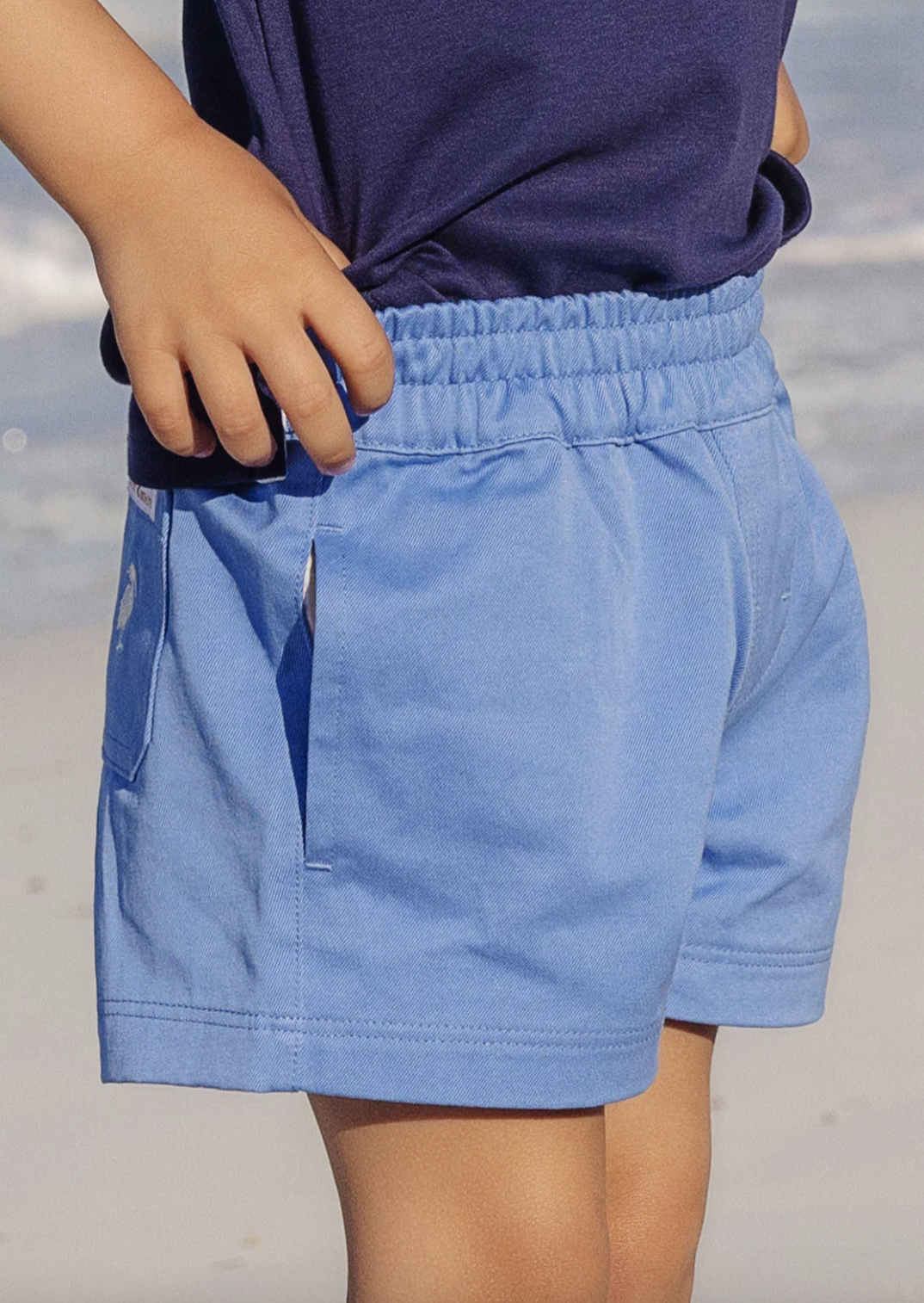 TBBC Sheffield Shorts Sunrise Blvd Blue/ Saratoga Stone
