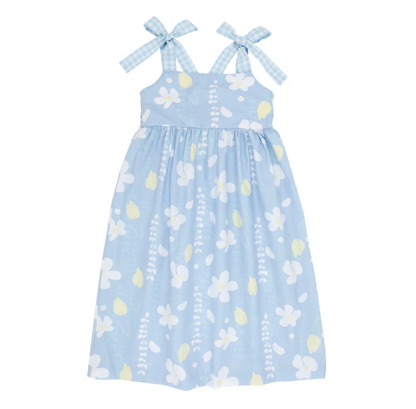 TBBC Macie Midi Dress Water Street Wisteria with BHB Gingham