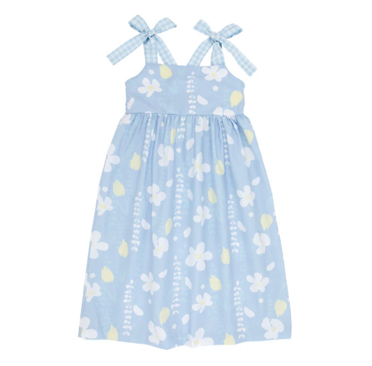 TBBC Macie Midi Dress Water Street Wisteria with BHB Gingham