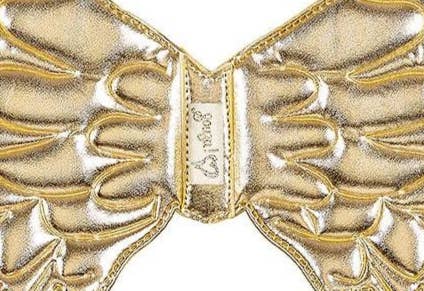 Nyla wings