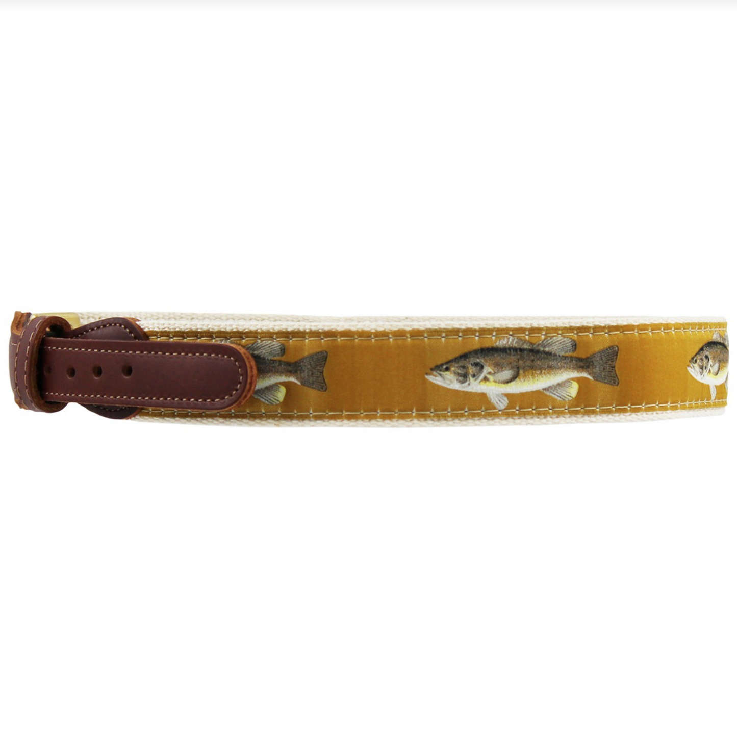 BB Bass Belt